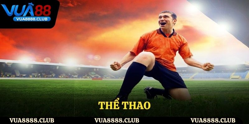 Sảnh thể thao cuốn hút